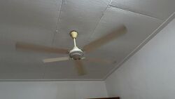 Serangoon Garden Estate (D19), Terrace #504631851